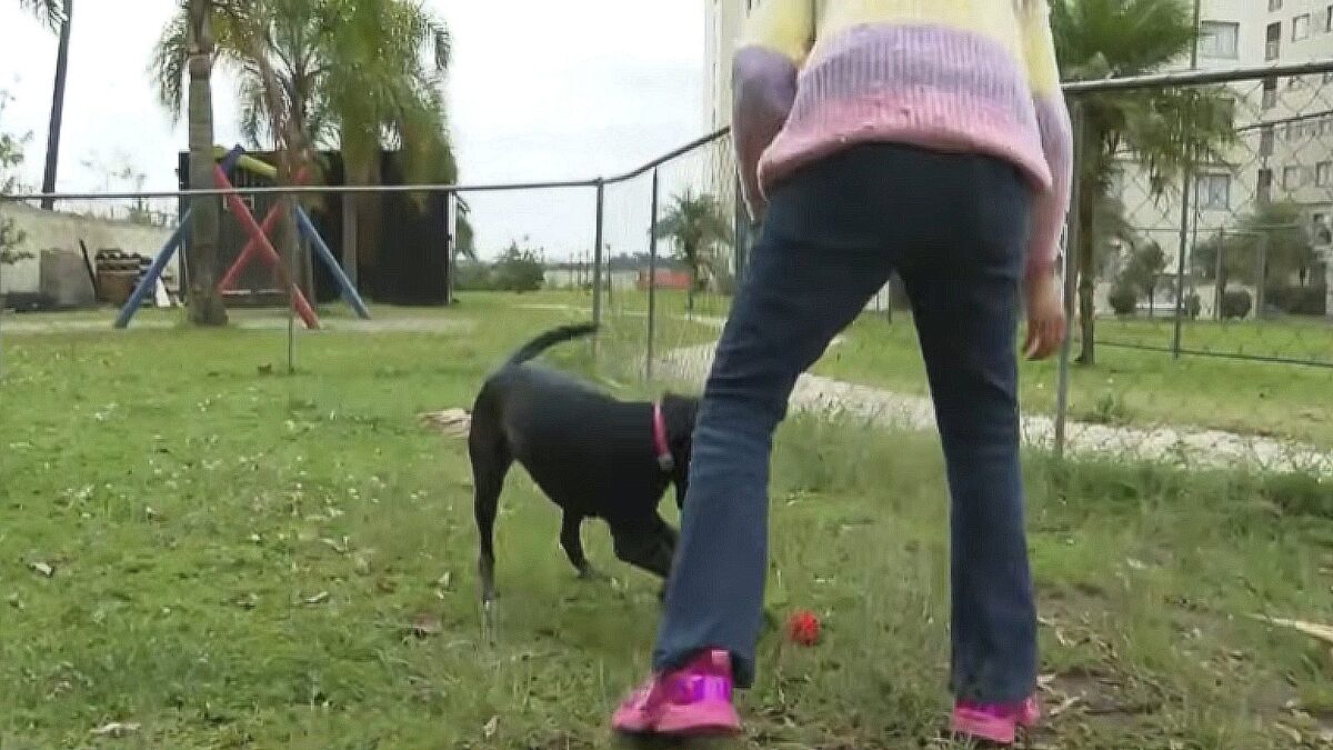 Na compra de imóvel em condomínio, Espaço Pet torna-se uma expectativa
